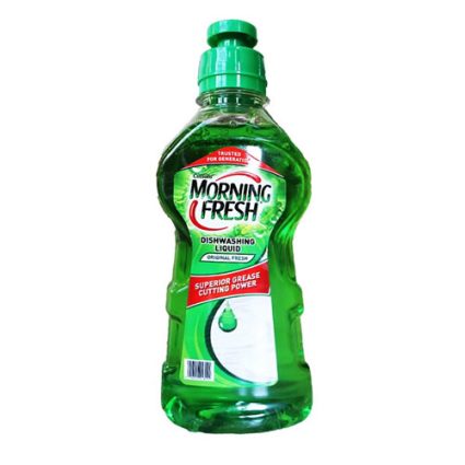 Green bottle of Morning Fresh dishwashing liquid with a twist-cap, labeled for greasy dishes.